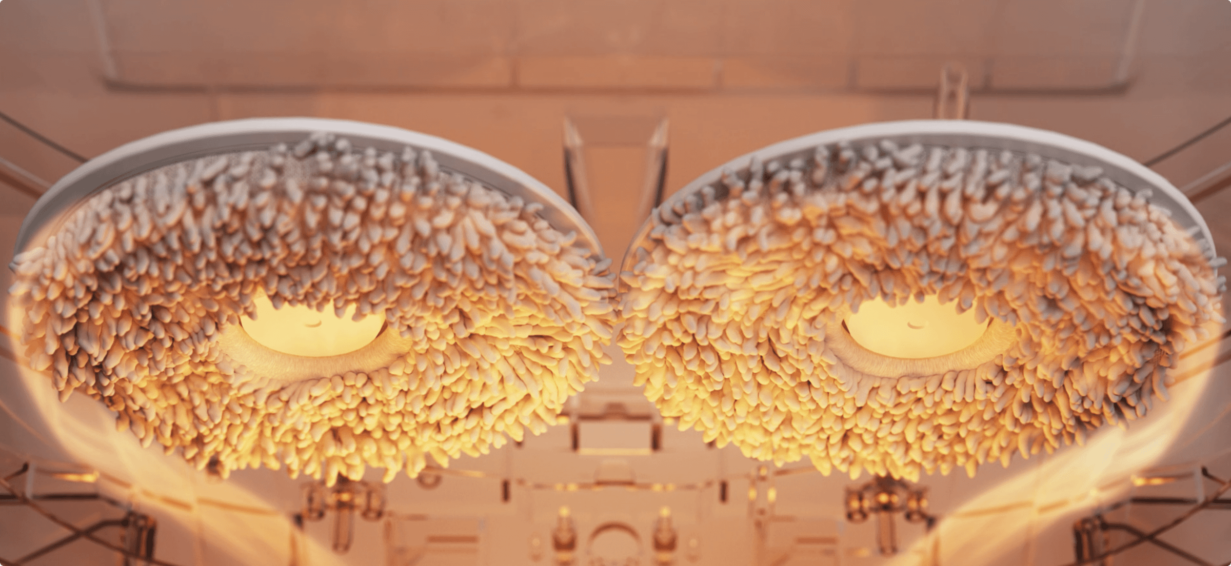 שואב אבק רובוטי Qrevo 5AE מבית Roborock ייבוש באוויר חם